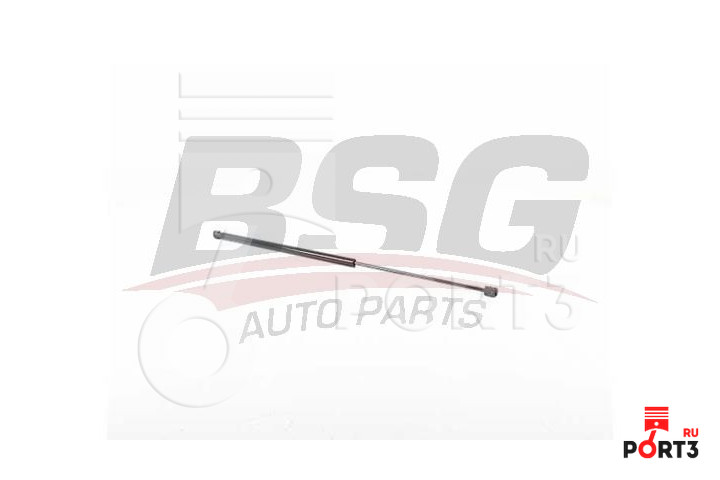 BSG BSG90980066