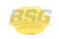  BSG BSG 65-551-004