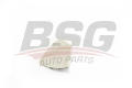  BSG BSG 90-910-048