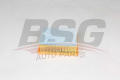 BSG BSG25135019