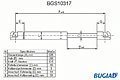 BUGIAD BGS10317  ,  