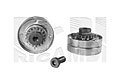 CALIBER 16265  ,  