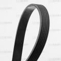 CARBERRY 6PK883 