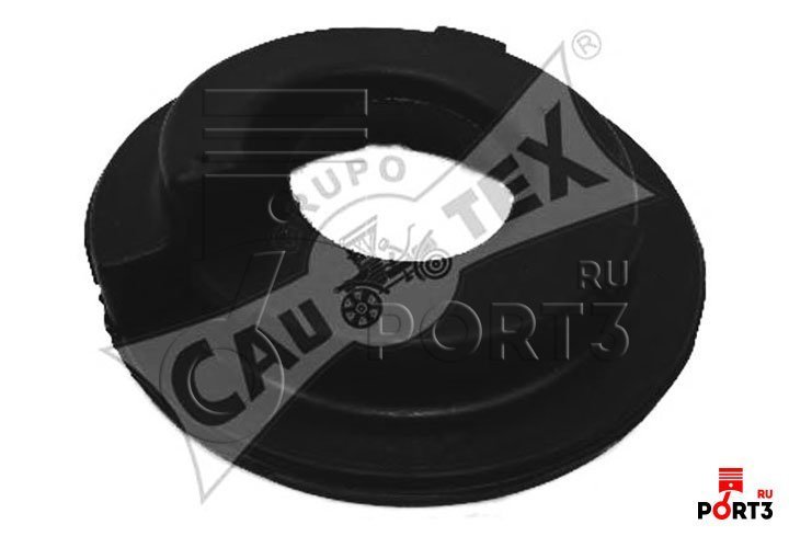 CAUTEX 021317