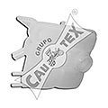 CAUTEX 954244