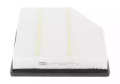 CHAMPION CAF100773P  