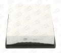 CHAMPION CAF100793P  