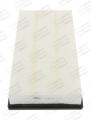 CHAMPION CAF100808P  
