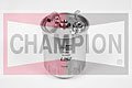 CHAMPION L257  