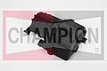 CHAMPION L459  