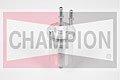 CHAMPION L 478  