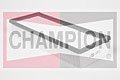 CHAMPION U501  