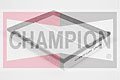CHAMPION U 689  