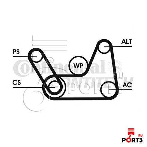 Ремень генератора фьюжн 1.4. 6pk1019 Elast t1. Ремень генератора Ford Fusion. Ремень ГУР Форд Фьюжн 1.4. CONTITECH 6pk1019elastt1 ремкомплект приводного ремня.