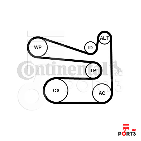 Шкода фабия схема ремня генератора. CONTITECH 6pk1693k1. Ремень приводной Фабия 2 1.6. Приводной ремень Шкода Фабия 1.2. Ремень приводной Шкода Фабия 1.