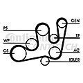 CONTITECH 6PK1641  