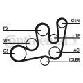 CONTITECH 6PK1642D2  