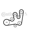 CONTITECH 6PK1642K1