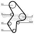 CONTITECH HTD12959525M25  