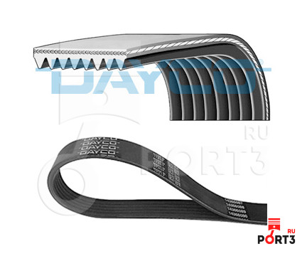 DAYCO 8PK1436HD
