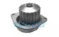 DAYCO DP024  