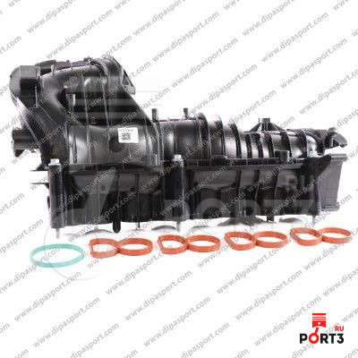 DIPASPORT COL019DPSN