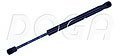 DOGA 2040003  ,  