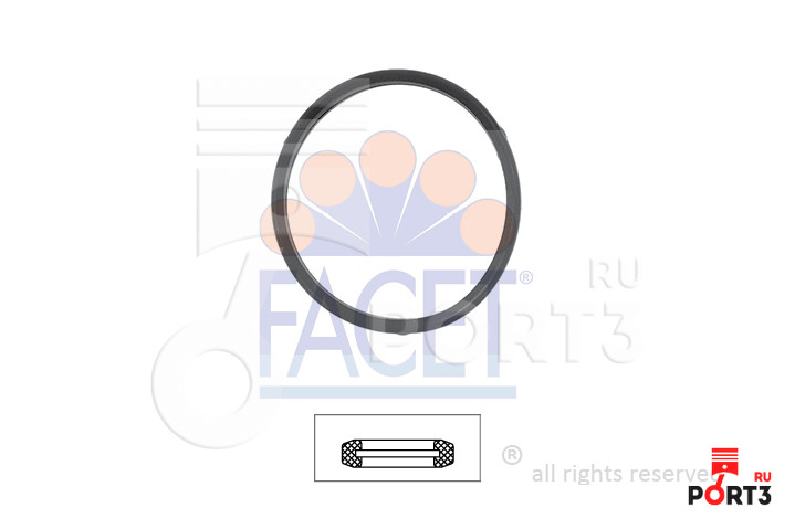 FACET 79532