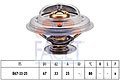 FACET 78259 ,  
