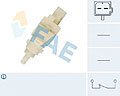 FAE 24411