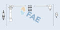 FAE 83267   