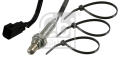 FEBI 21381 -