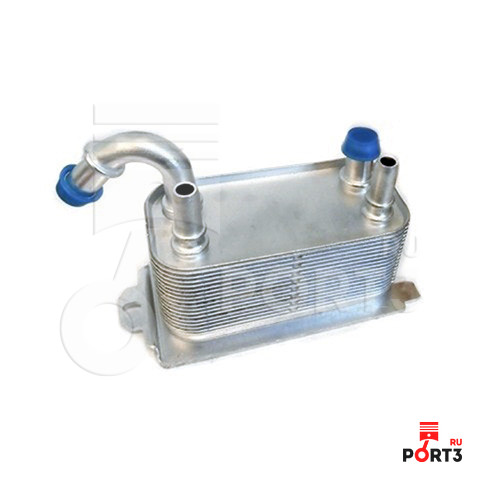 FISPA 590038