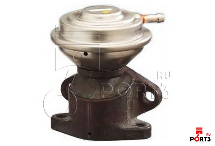 FISPA 83616