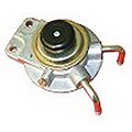 FISPA 81.008   
