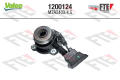 FTE 1200124  ,  