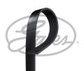 GATES 8PK2508SFHD  