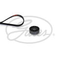  GATES K066PK1368