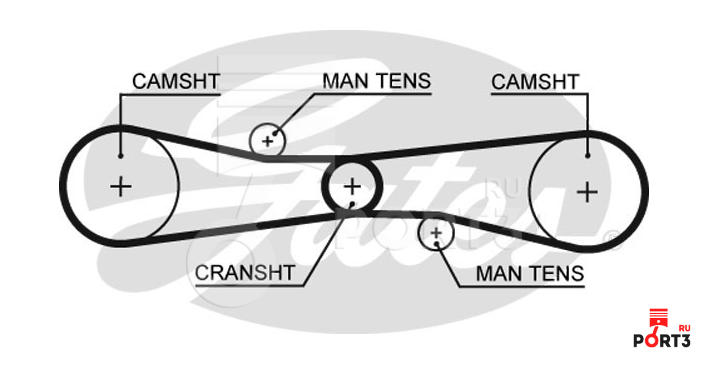 GATES T275 Зубчатый ремень