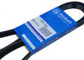 GLOBELT 5PK1025 