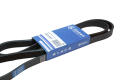 GLOBELT 5PK1025EPDM 