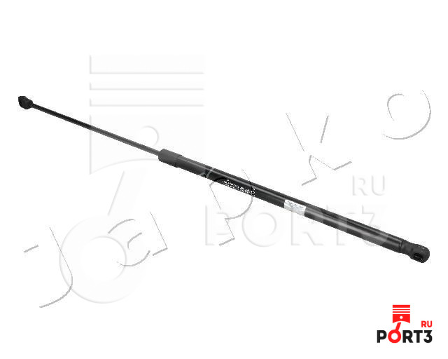 JAPKO ZSJ09019
