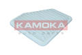 KAMOKA F242101  