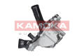 KAMOKA T0096  