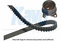 KAVO PARTS DKT5526   