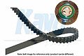 KAVO PARTS DKT8509   