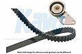 KAVO PARTS DKT8514   