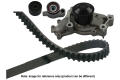 KAVO PARTS DKW9017 Водяной насос + комплект зубчатого ремня