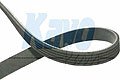 KAVO PARTS DMV5505  