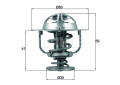 KNECHT_MAHLE TX17782D